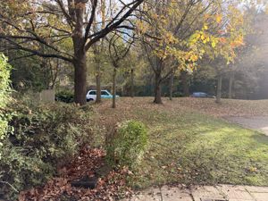 Photo 11- click for photo gallery